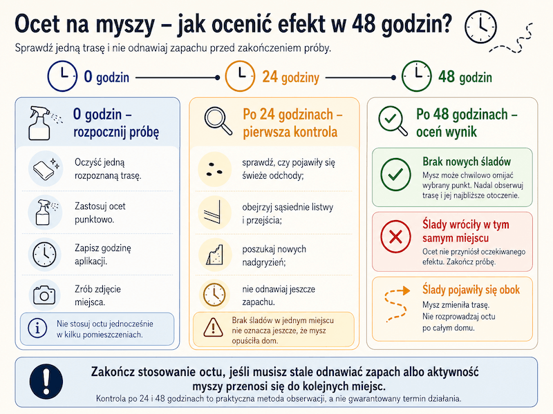 infografika przedstawiająca ocenę działania octu w czasie